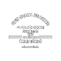 Boxing Boxeo Sticker by Puroboxr