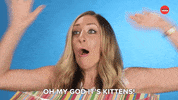 Excited Oh My God GIF by BuzzFeed