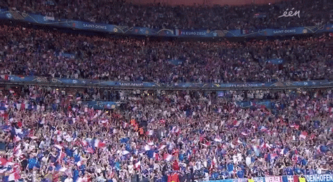 france yes GIF by Sporza