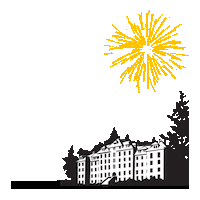 Fireworks Graduation Sticker by PLU