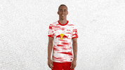 Champions League Football GIF by RB Leipzig