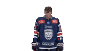 Hockey Sticker by Fehervar AV19