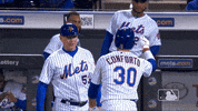 ny mets smile GIF by New York Mets