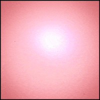 pink glow GIF by Erica Anderson