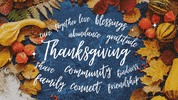 Thanksgiving Blessings GIF by Parks Realty