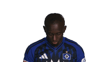 Look Up Hamburger Sv Sticker by Bundesliga