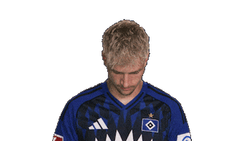 Look Up Hamburger Sv Sticker by Bundesliga
