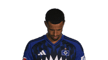 Look Up Hamburger Sv Sticker by Bundesliga