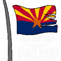 Voting Rights Flag Sticker by Creative Courage