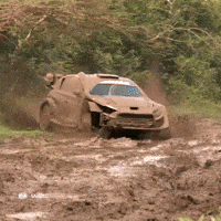 Driving Wait For Me GIF by FIA World Rally Championship