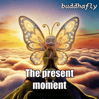 Unity Joy GIF by BuddhaFlyJourney