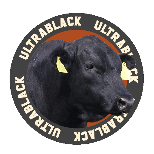 AssociacaoBrasileiradeAngus giphyupload boi carne angus Sticker