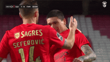 Sl Benfica Hug GIF by Sport Lisboa e Benfica