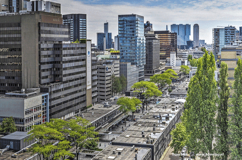 fransblok giphyupload GIF