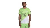 Football Lol Sticker by VfL Wolfsburg