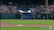 det GIF by MLB