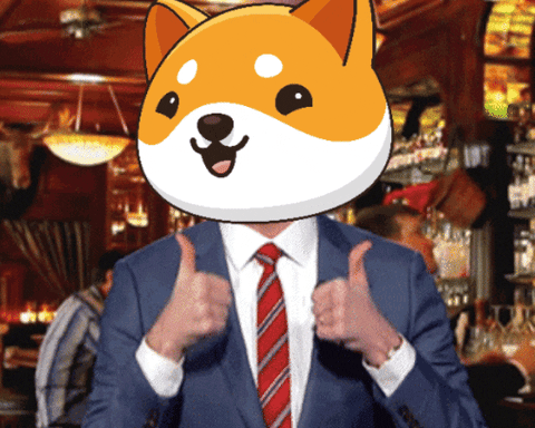 Money Crypto GIF by Baby Doge Coin