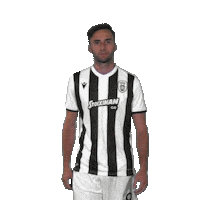 Football Paokfamily Sticker by PAOK FC