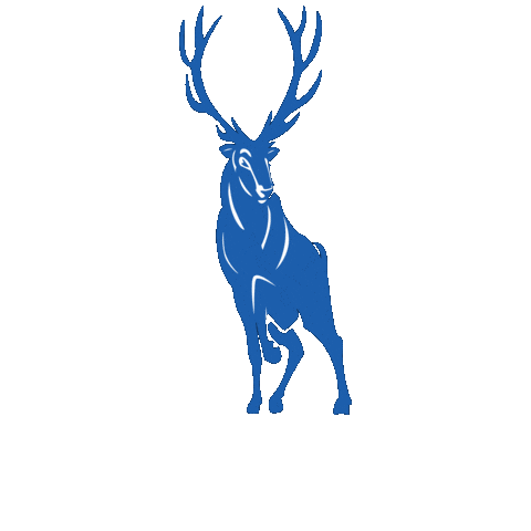 bishopmiegecatholichighschool giphygifmaker stag stags miege Sticker
