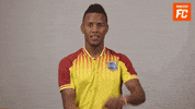 Cricket GIF by FanCode