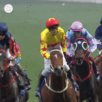 Happy Get Up GIF by World Horse Racing