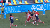 GIF by Sydney Swans
