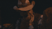 gethenjenkins party music video whiskey campfire GIF