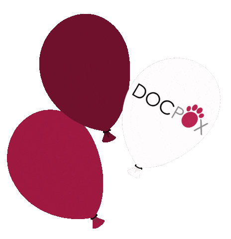 Party Ballon Sticker by Kleintierpraxis DOCPOX