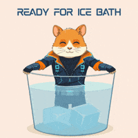 Locked In Motivation GIF by Hamieverse