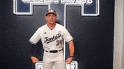 Georgia Tech Baseball GIF by Georgia Tech Yellow Jackets