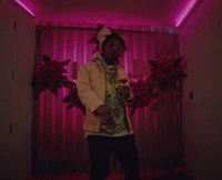 wild irish roses GIF by Smino
