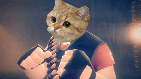 team fortress 2 cat GIF