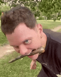 Angry Dog GIF
