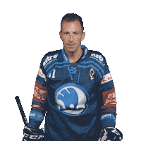 Hockey Hokej Sticker by HC Škoda Plzeň