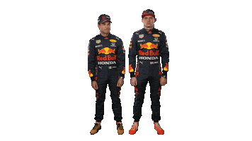 Red Bull Sport Sticker by Oracle Red Bull Racing