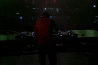 Dj Festival GIF by armodine
