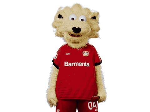 Bayer 04 Brian GIF by Bayer 04 Leverkusen