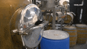 viceland GIF by Hustle