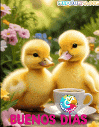 Good Morning Amigos GIF by Murcianys LLC
