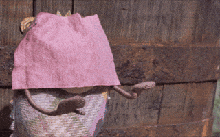 tweedyandfluff cute friends sweet help GIF