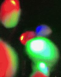 Eagles Gloving GIF