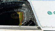 Major League Baseball Sport GIF by MLB