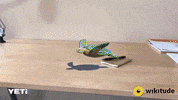 Wikitude Augmentedreality Arsdk Arapp Ar Instant Tracking Slam GIF by Wikitude