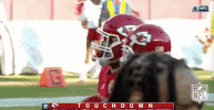 Kansas City Chiefs Football GIF by NFL