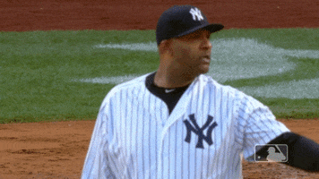 New York Yankees Baseball GIF by MLB