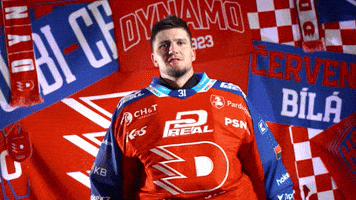 Tomas GIF by HC Dynamo Pardubice