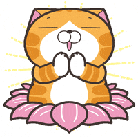 Cat Fun GIF by MochiDad