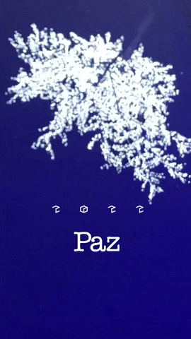 cazeab giphyupload GIF