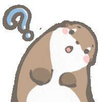 chuchuotter giphyupload otter puzzled otters Sticker