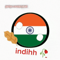Ball India GIF